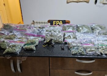 MENDIOLAZA: SE REALIZÓ UN ALLANAMIENTO E INCAUTÓ 25000 DOSIS DE MARIHUANA