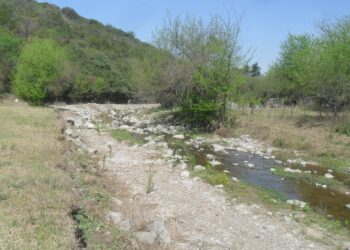 EL ARROYO CABANA ESTÁ EN SITUACIÓN CRÍTICA POR FALTA DE LLUVIAS Y CALOR EXTREMO