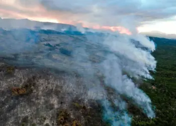 CÓRDOBA DECRETÓ LA «EMERGENCIA AMBIENTAL» POR RIESGO DE INCENDIOS