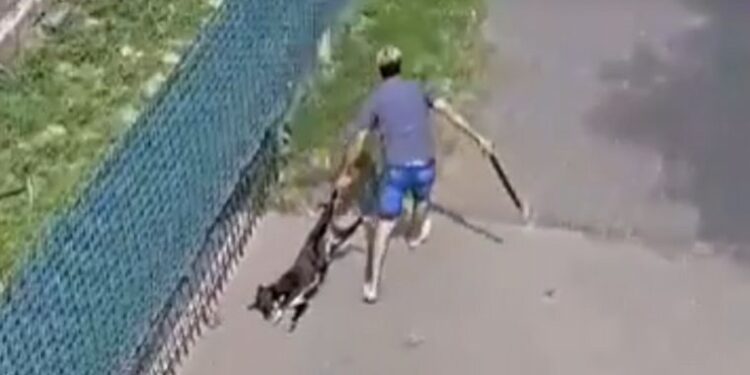 Clausuran veterinaria tras video de maltrato animal en Villa Allende