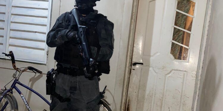 JESÚS MARÍA: SE DETUVO A UNA MUJER QUE INTEGRABA UNA ORGANIZACIÓN NARCO