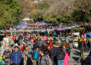 SE REALIZÓ LA FERIA DE «FERIAS EN SALDÁN»