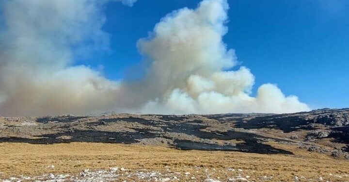BOMBEROS COMBATEN UN FOCO DE INCENDIO EN EL CERRO CHAMPAQUI