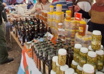 EL 13 DE JULIO SE CELEBRARÁ EL PRIMER ENCUENTRO DE FERIAS EN SALDÁN