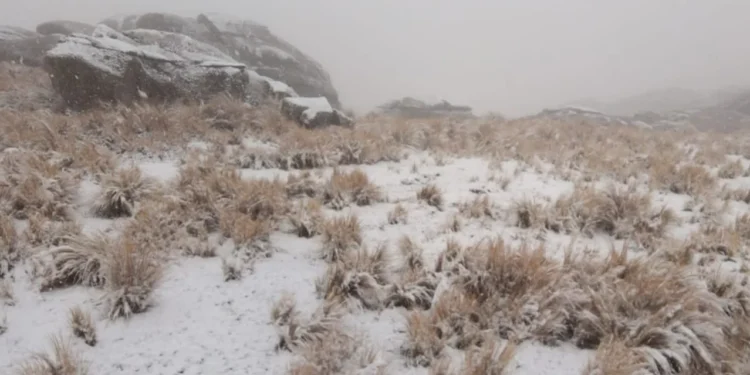 CÓRDOBA EN «ALERTA AMARILLO»: DONDE PODRÍA NEVAR ESTE VIERNES