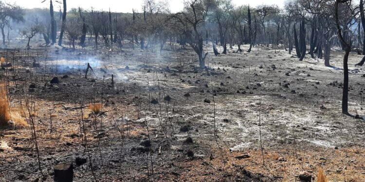 CUATRO INCENDIOS SE MANTIENEN EN GUARDIA DE CENIZAS