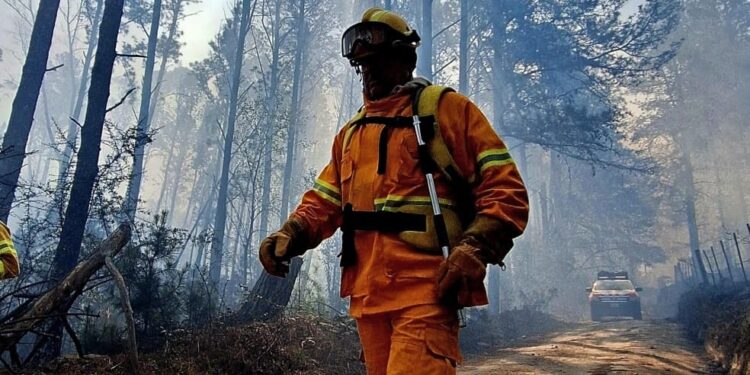 EL DURAZNO: EL INCENDIO FUE CONTENIDO Y MANTIENEN GUARDIA DE CENIZAS