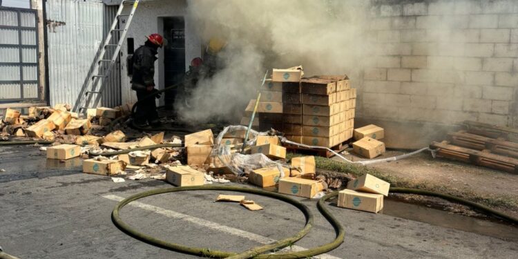 EQUIPOS DE EMERGENCIA COMBATIERON INCENDIO EN VILLA ALLENDE