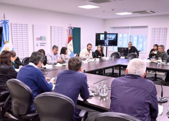 Consumo de drogas y prevención: legisladores recibieron a funcionarios de Salud para profundizar en la temática