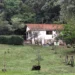 La Granja: Una mujer fue asesinada por su ex pareja