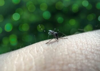 Salsipuedes: Se refuerzan medidas preventivas contra el dengue