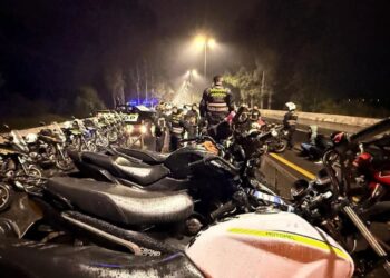 Mega Operativo por picadas ilegales sobre Ruta E53