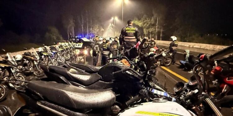 Mega Operativo por picadas ilegales sobre Ruta E53