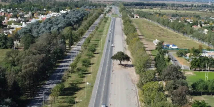 Quebracho histórico: presentan un proyecto para declararlo monumento natural