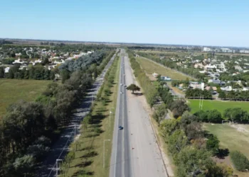 Villa Allende: vecinos convocan a una caravana por el quebracho de la Lucchesse