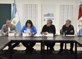 Legisladores analizaron varios pedidos de informe vinculados con la salud en la provincia