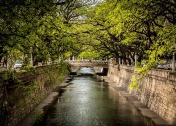 Primavera a la vista: amena semana en Córdoba, con picos de 30º