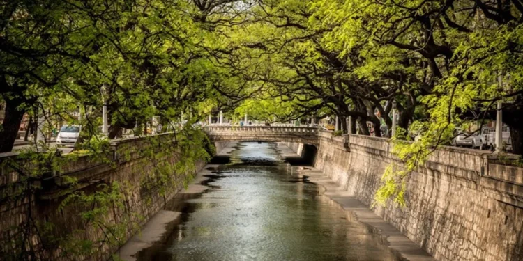 Primavera a la vista: amena semana en Córdoba, con picos de 30º