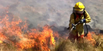 Incendios en Córdoba: siguen activos los focos de Saldán y La Paz