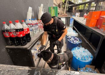 FIESTA ELECTRÓNICA: SE INCAUTÓ COCAÍNA, TUSSI, MDMA Y MARIHUANA EN LA CALERA