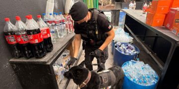 FIESTA ELECTRÓNICA: SE INCAUTÓ COCAÍNA, TUSSI, MDMA Y MARIHUANA EN LA CALERA