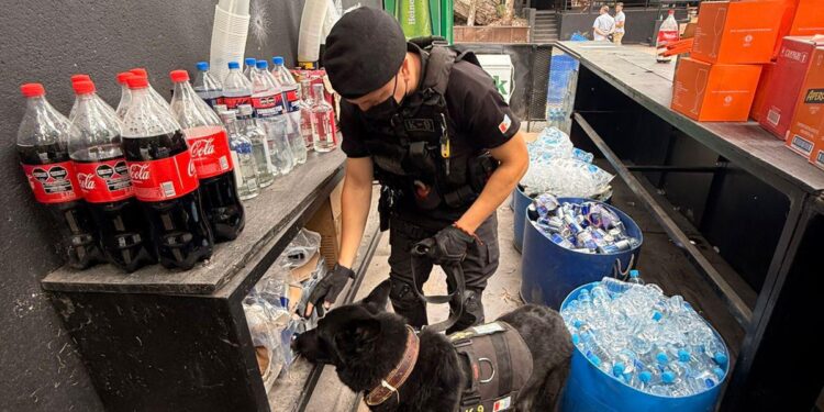 FIESTA ELECTRÓNICA: SE INCAUTÓ COCAÍNA, TUSSI, MDMA Y MARIHUANA EN LA CALERA