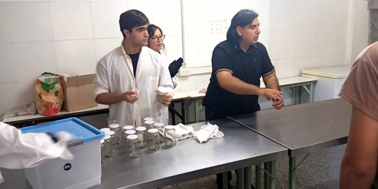Saldán impulsa la producción de locro envasado con respaldo científico y articulación institucional