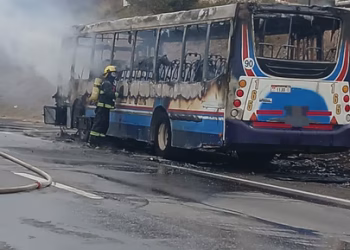 Córdoba: se incendió un colectivo interurbano en plena ruta